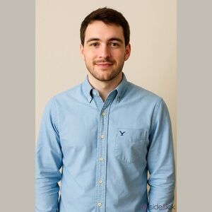 American Eagle Outfitters Blue Oxford Casual Shirt